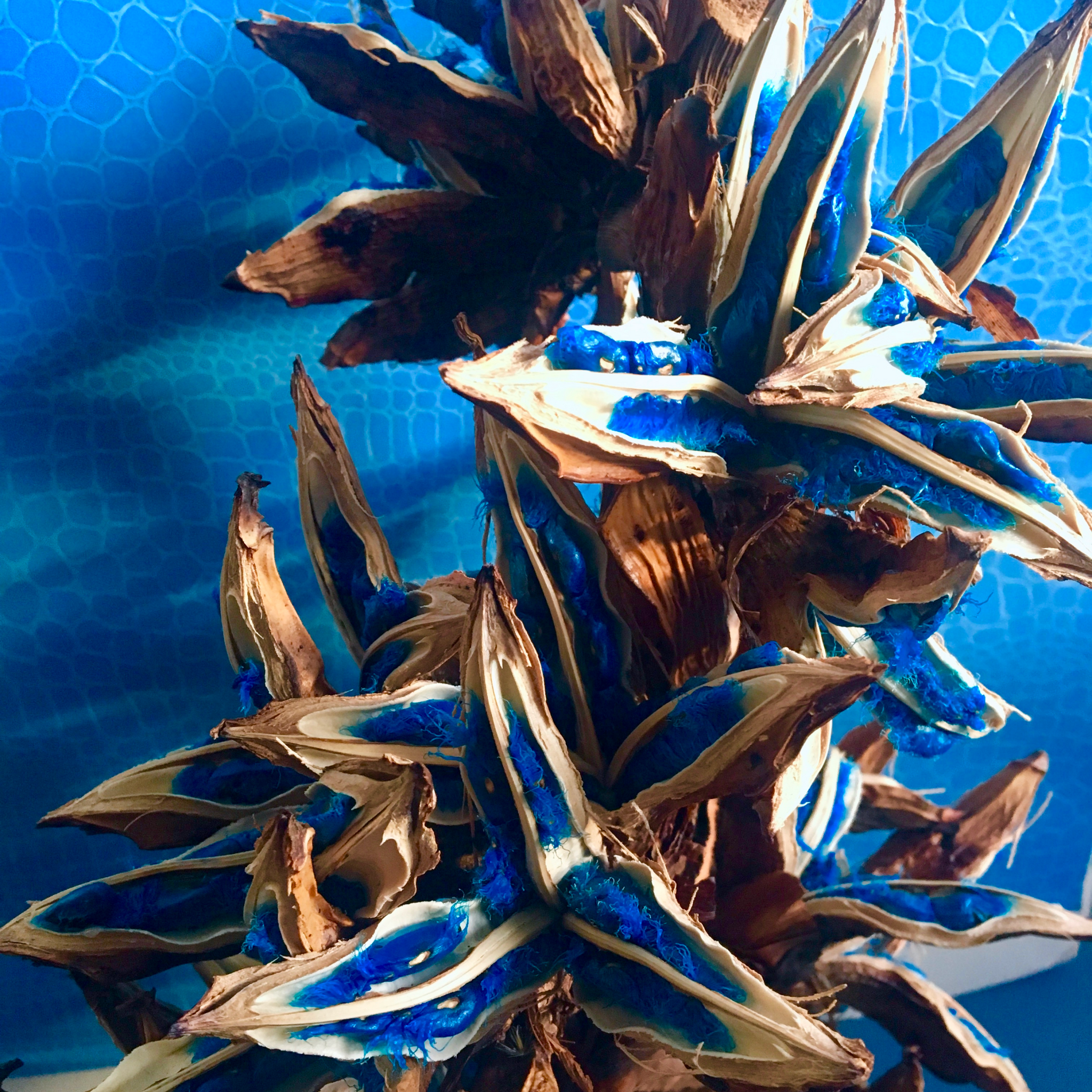 Frame_63.png?v=1715735588& Frame_63.png?v=1715735588&