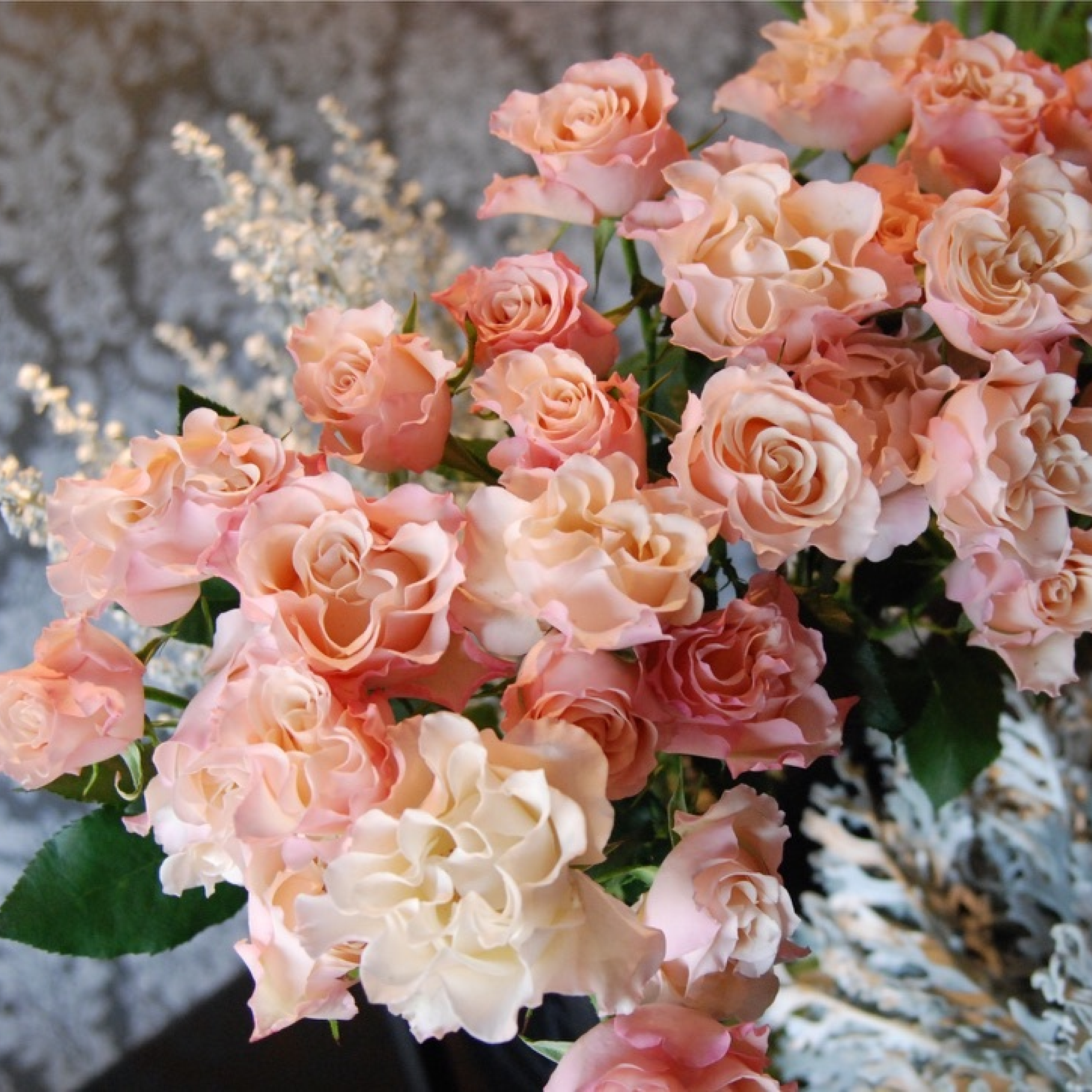 QUEEN OF ROSES